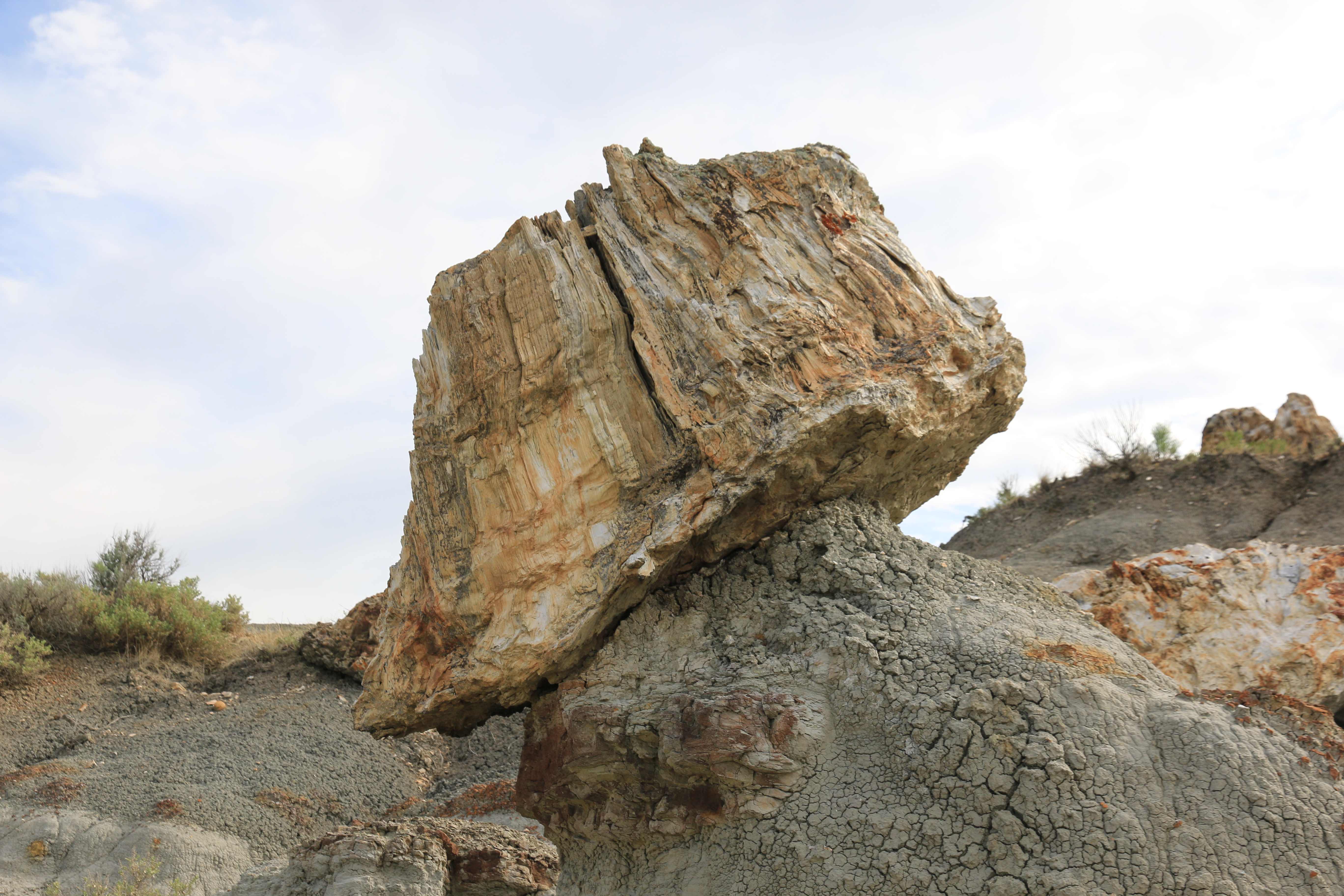 Theodore Roosevelt NP